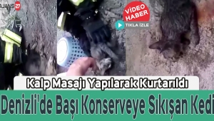 Denizli'de Başı Konserveye Sıkışan Kedi Kalp Masajı Yapılarak Kurtarıldı
