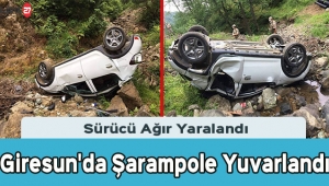 Giresun'da Şarampole Yuvarlanan Sürücü Ağır Yaralandı
