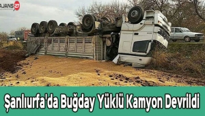 Şanlıurfa'da Buğday Yüklü Kamyon Devrildi