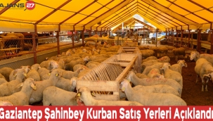 Gaziantep Şahinbey Kurban Satış Yerleri