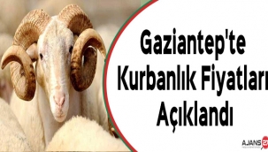 Gaziantep'te Kurbanlık Fiyatları Açıklandı