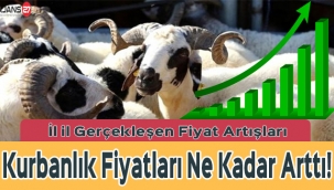 Gaziantep'te Kurbanlık Fiyatları Ne Kadar Arttı! İl il Gerçekleşen Fiyat Artışları