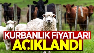 Kurbanlık fiyatları açıklandı
