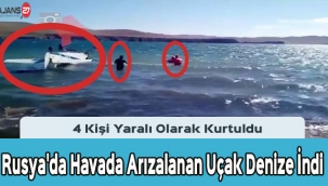 Rusya'da havada arızalanan uçak denize indi
