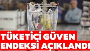 Temmuz 2020 Tüketici Güven Endeksi Açıklandı