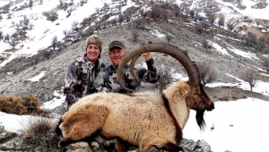 Tepki çeken 'dağ keçisi avı' ihalesi iptal edildi