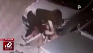 Yumurta çalarken yakalanan kadınlar market sahibini dövdü - Video