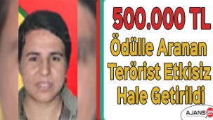 500.000 TL Ödülle Aranan Terörist Etkisiz Hale Getirildi