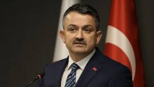 Bakan Pakdemirli'den Giresunlu üreticilere müjde