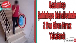 Gaziantep Şahintepe Mahallesinde 2 eve giren hırsız yakalandı