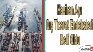 Haziran ayı dış ticaret endeksleri belli oldu