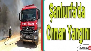 Şanlıurfa'da orman yangını