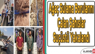 Gaziantep'te ağaç sulama borularını çalan şahıslar suçüstü yakalandı