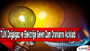 TÜİK doğalgaz ve elektriğe gelen zam oranlarını açıkladı