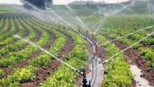 Yurt İçi Üretici Fiyat Endeksi Açıklandı