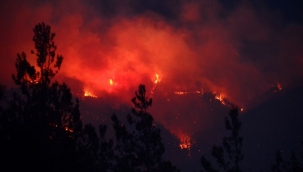Bakan Pakdemirli duyurdu! Hatay'daki yangın kontrol altına alındı