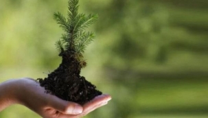 Başkan Şahin'den 25.000 fidan desteği