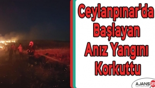 Ceylanpınar'da başlayan anız yangını korkuttu