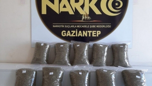 Gaziantep'te 10 Kilo Bonzai yakanaldı
