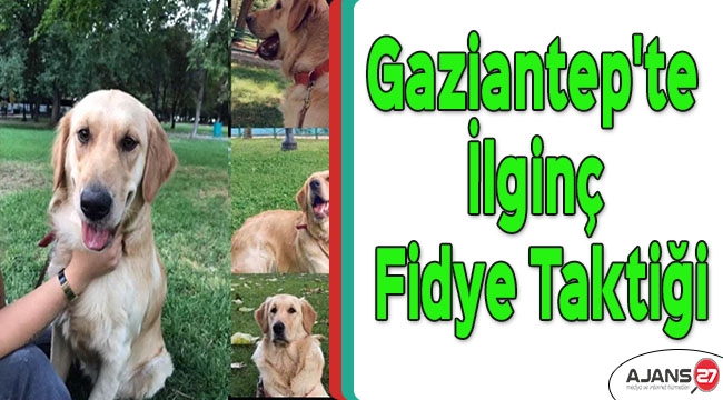 Gaziantep'te ilginç fidye taktiği