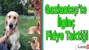 Gaziantep'te ilginç fidye taktiği
