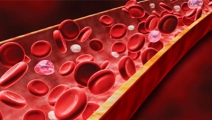 Hasta ve aileye verilen eğitimle okulda da hemofili ilişkili sorunlar kontrol altına alınabilir