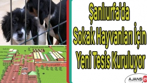 Şanlıurfa'da sokak hayvanları için yeni tesis kuruluyor