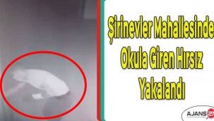 Şirinevler Mahallesinde okula giren hırsız yakalandı