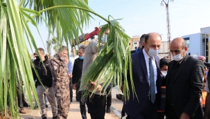 Barış Pınarı Bölgesinde Ağaçlandırma Çalışmaları Başladı