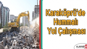 Karaköprü'de hummalı yol çalışması