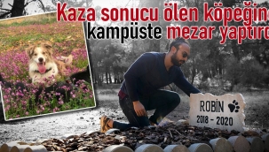 Kaza sonucu ölen köpeğine kampüste mezar yaptırdı