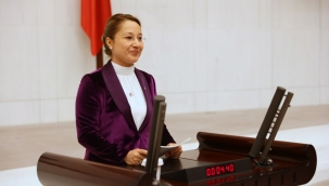 Derya Bakbak TBMM'deki bütçe konuşmasında Genel Kurul'a hitap etti