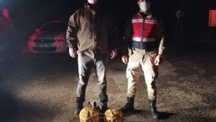 Gaziantep'te kaçak av yapan 1 kişiye idari yaptırım uygulandı