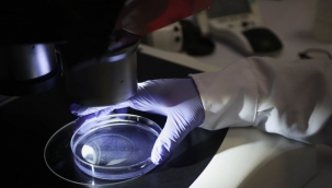 Koronavirüsün kaynağı belirlendi