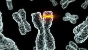 Mutasyonlu virüsün 2 ’si Gaziantep’te! Valilikten açıklama