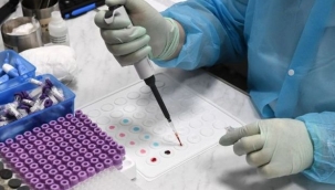 Doktorlar aşı hakkında konuştu: 