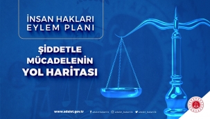 Her tülü şiddete etkin ve sistemli mücadele