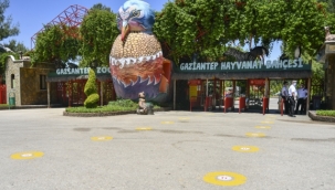 Gaziantep'te Hayvanat Bahçesi ve Köpek Bakımevi ne zaman açık olacak?
