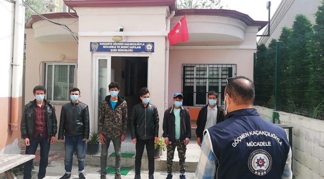 Ülkemize Yasadışı Giriş Yapan 9 Düzensiz Göçmen Osmaniye'de Yakalandı