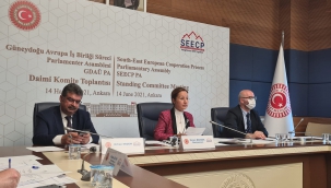 Dr. Bakbak, GDAÜ-PA Daimi Komite Toplantısına başkanlık etti 