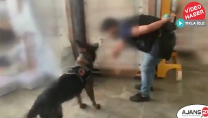 Şanlıurfa'da 16.500 paket kaçak sigara ele geçirildi