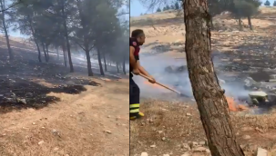 Şanlıurfa'da çıkan orman yangını korkuttu