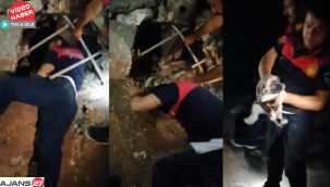 Şanlıurfa'da enkaz altında kalan yavru köpek kurtarıldı