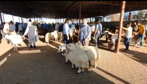 Suruç'ta hayvan pazarında giriş ücreti kaldırıldı