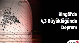 Bingöl'de 4,3 büyüklüğünde deprem
