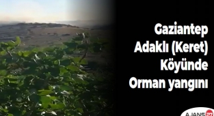 Gaziantep Adaklı (Keret) köyünde orman yangını