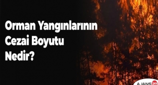 Orman Yangınlarının cezai boyutu nedir?