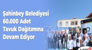 Şahinbey Belediyesi 60.000 Adet Tavuk Dağıtımına Devam Ediyor