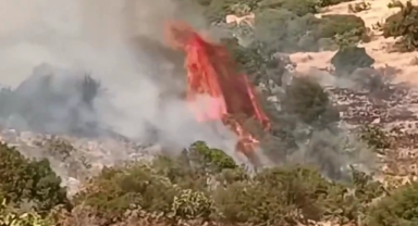 Araban’da Çıkan Fıstık Bahçesi Yangını Ormanlık Alana Sıçradı