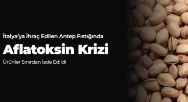 İtalya’ya İhraç Edilen Antep Fıstığında Aflatoksin Krizi: Ürünler Sınırdan İade Edildi